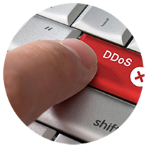 DDoS Protection DDoS Protection